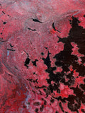 THE RED PLANET