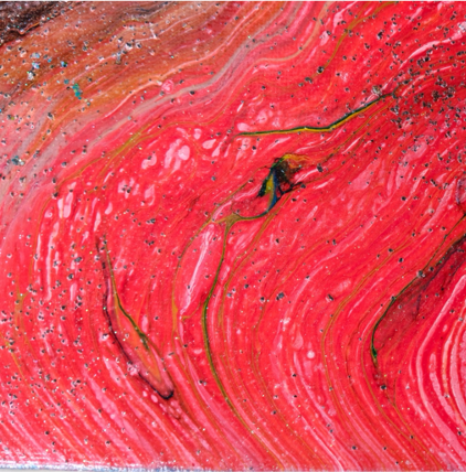 THE RINGS OF SATURN
