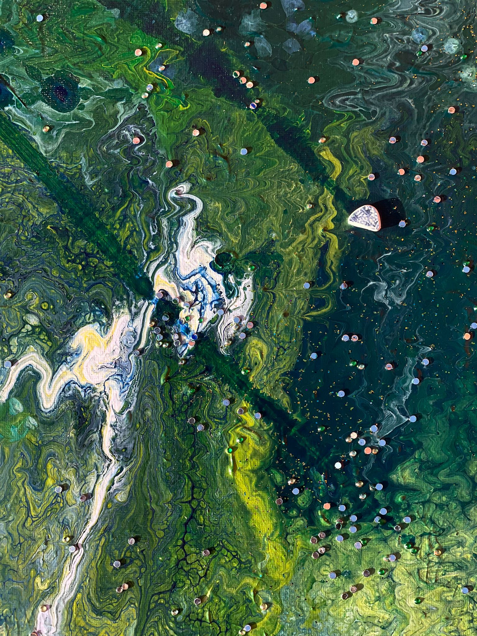 Stargazing Birds